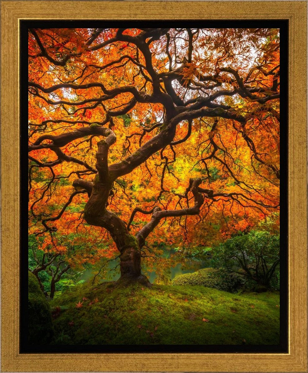 Tree of Perspective Vertical Gallery Wrap