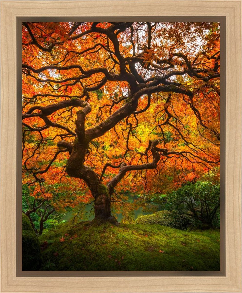 Tree of Perspective Vertical Gallery Wrap