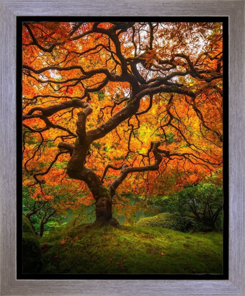 Tree of Perspective Vertical Gallery Wrap
