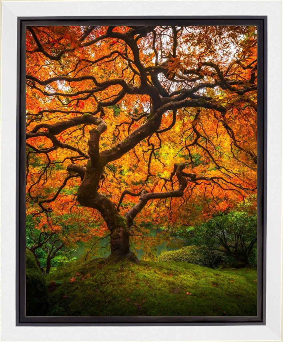 Tree of Perspective Vertical Gallery Wrap