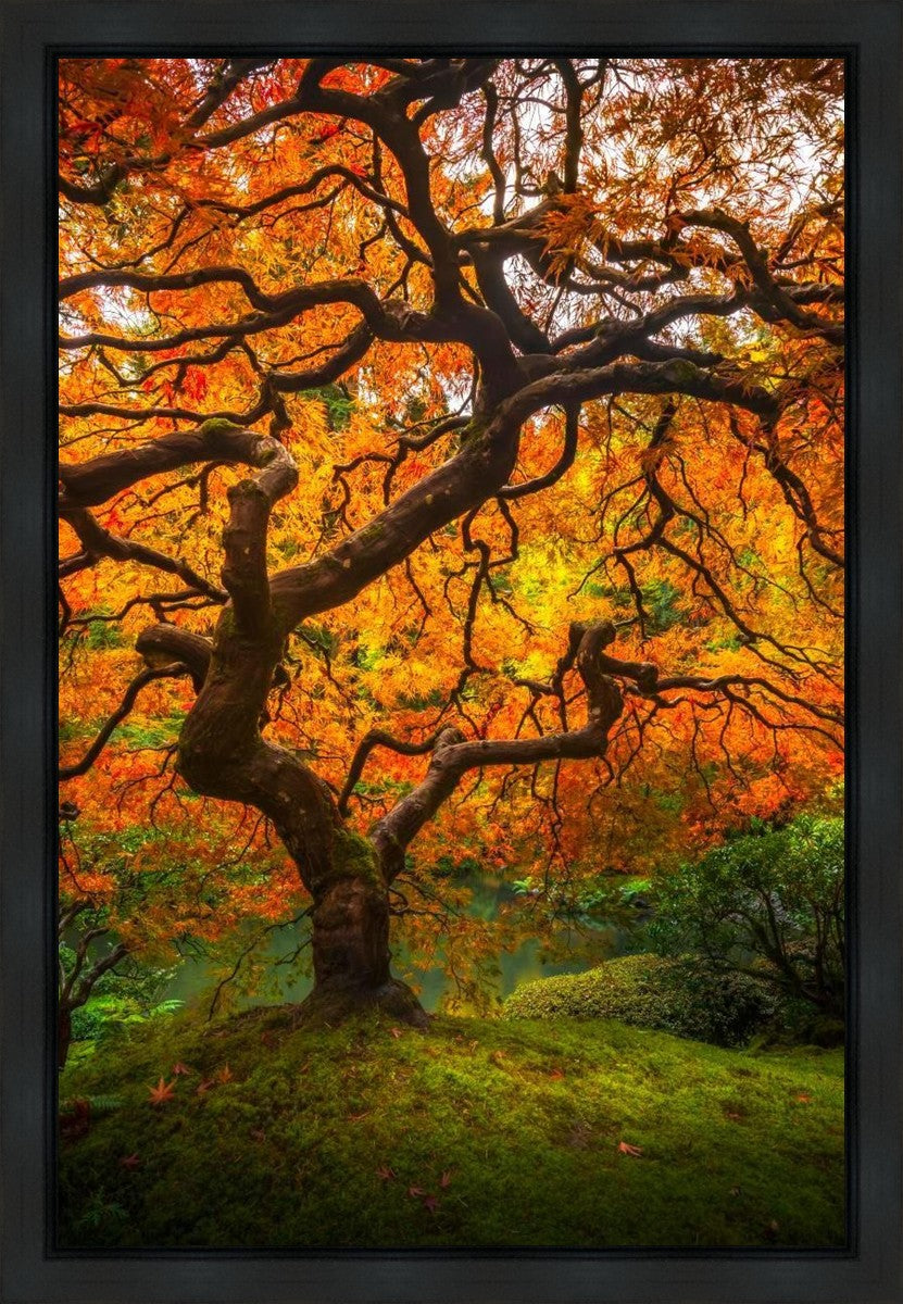 Tree of Perspective Vertical Gallery Wrap