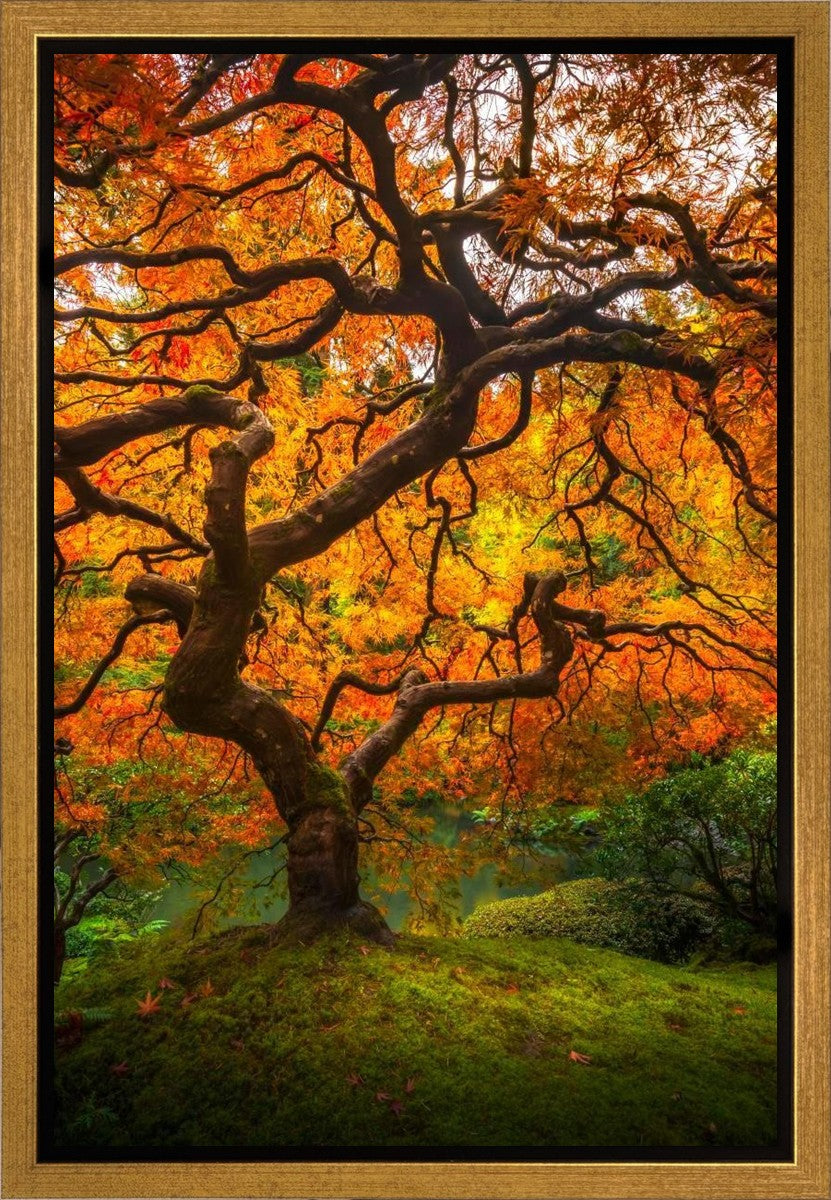 Tree of Perspective Vertical Gallery Wrap