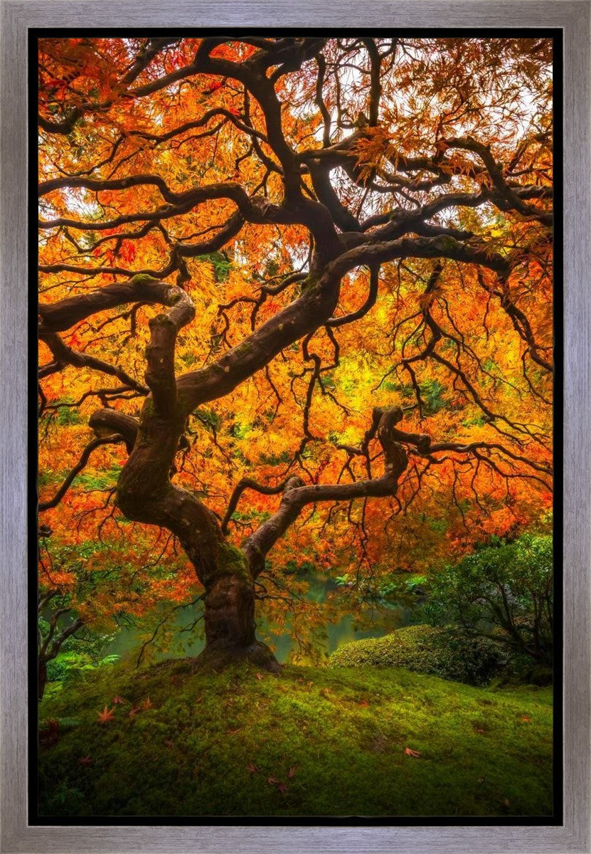 Tree of Perspective Vertical Gallery Wrap