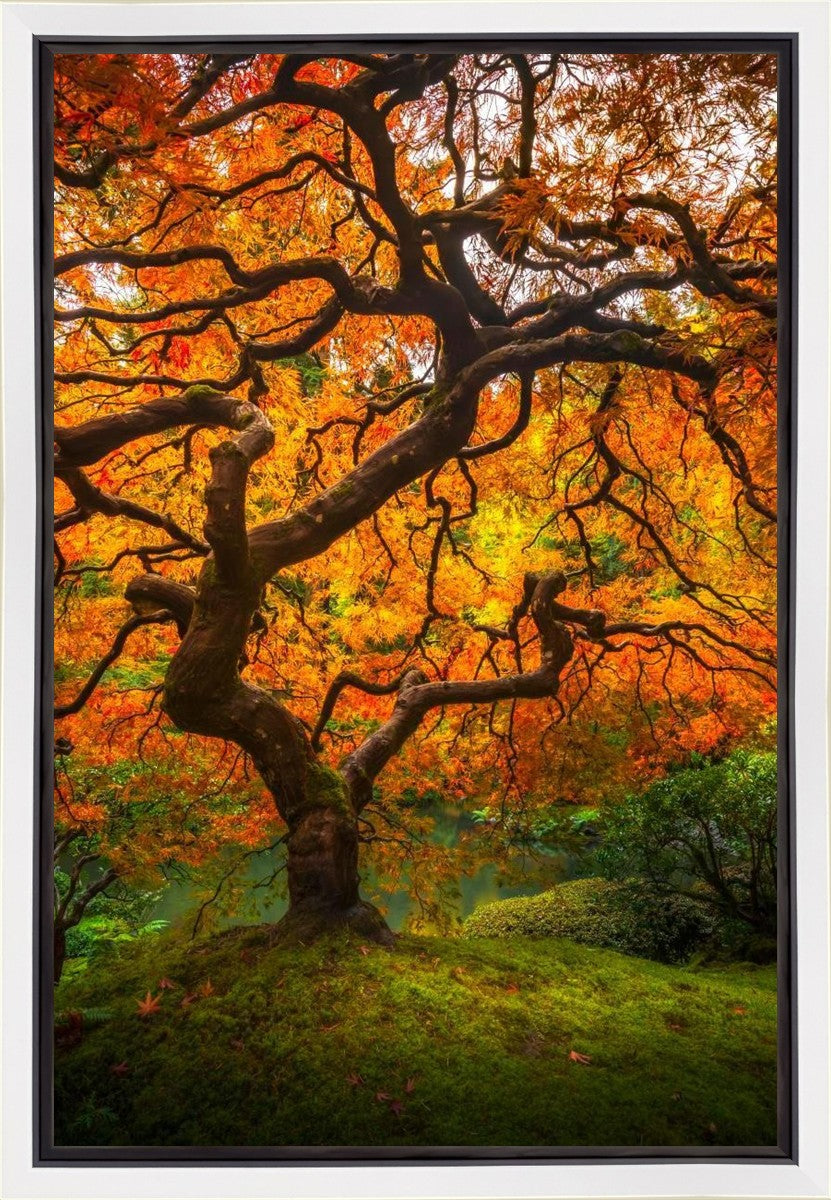 Tree of Perspective Vertical Gallery Wrap