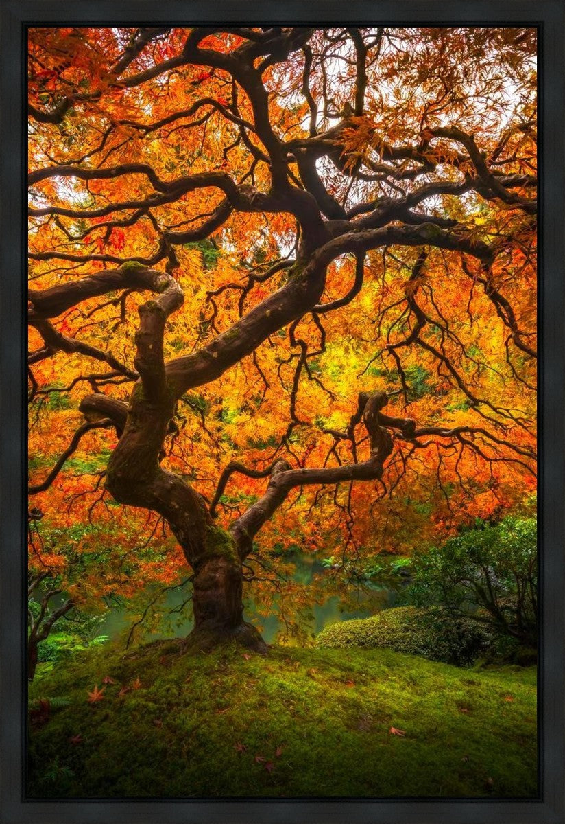 Tree of Perspective Vertical Gallery Wrap