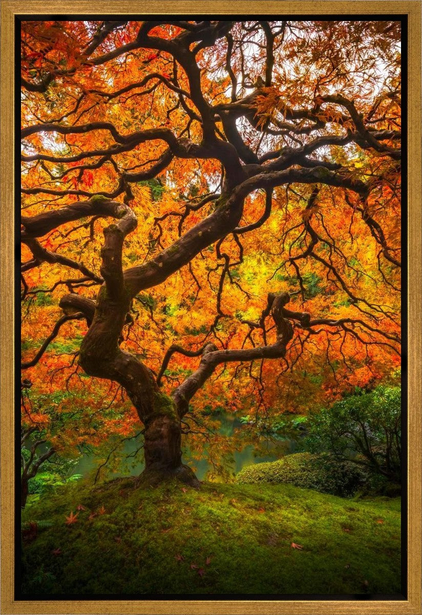 Tree of Perspective Vertical Gallery Wrap