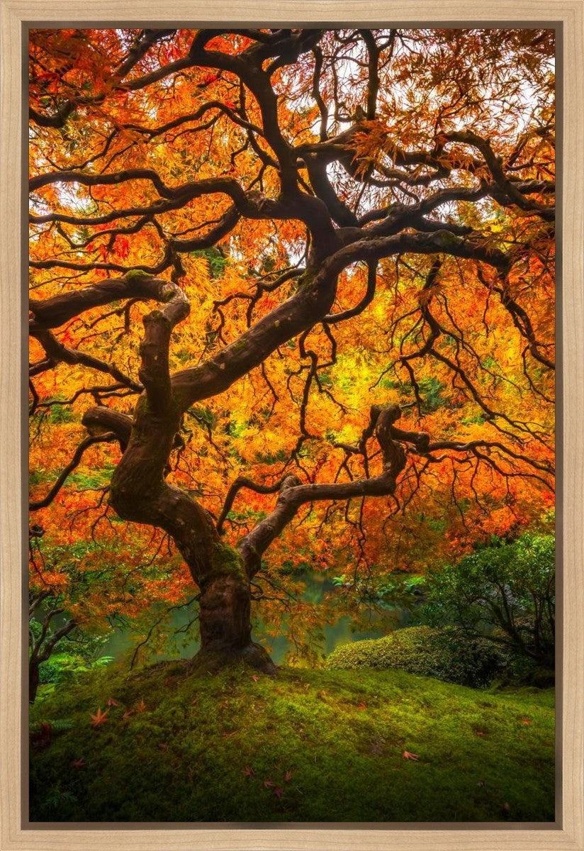 Tree of Perspective Vertical Gallery Wrap