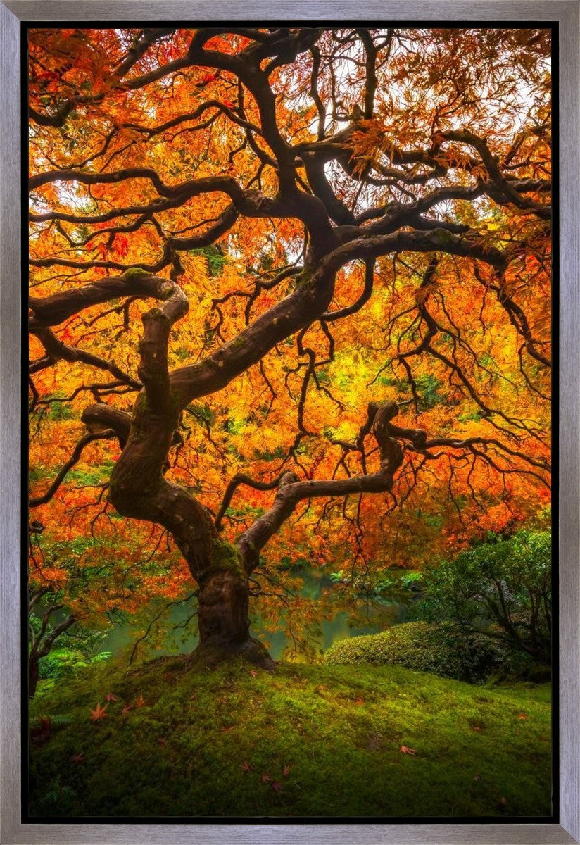 Tree of Perspective Vertical Gallery Wrap