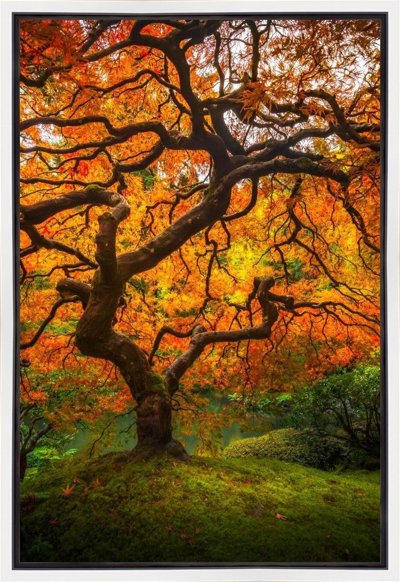 Tree of Perspective Vertical Gallery Wrap