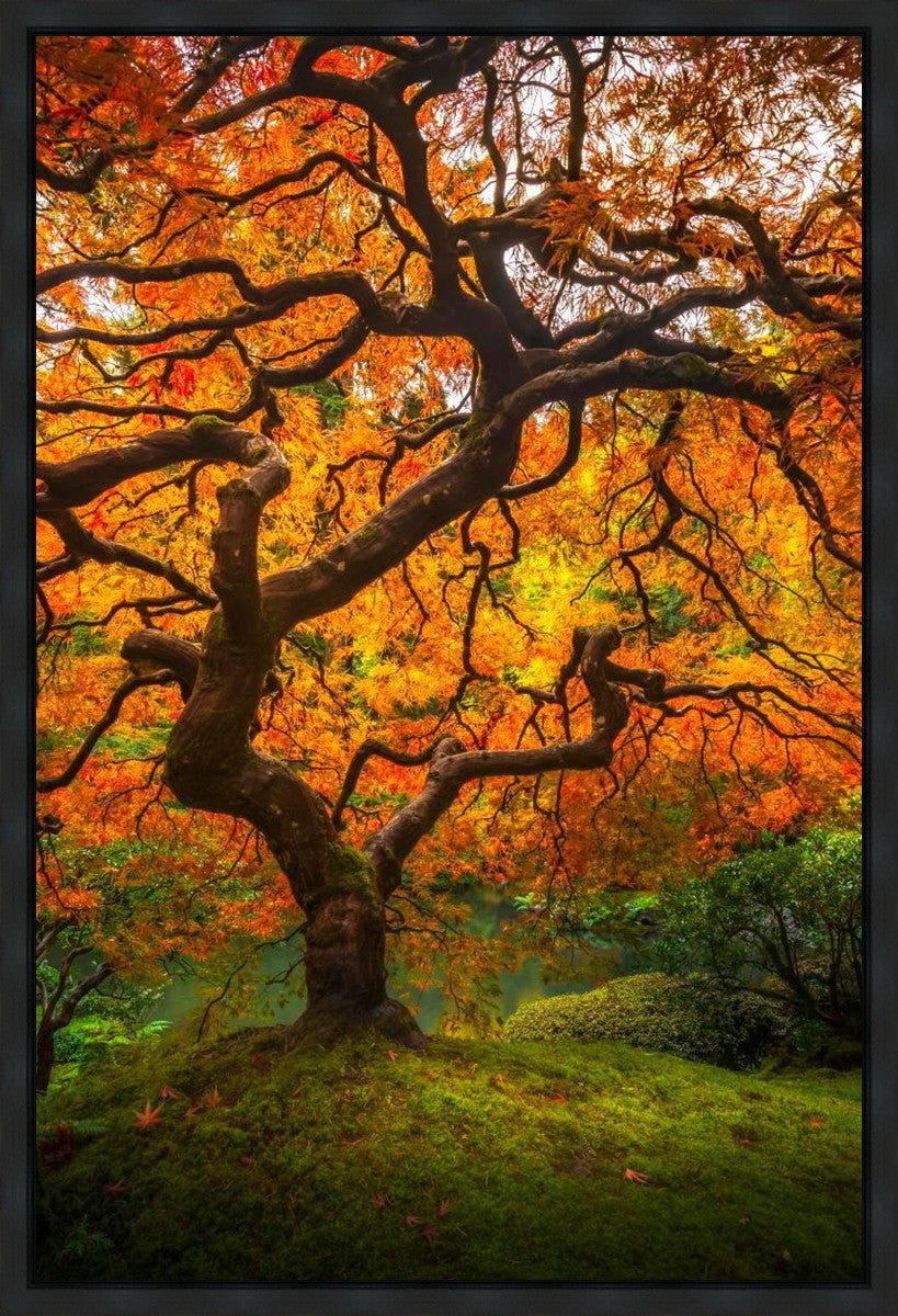 Tree of Perspective Vertical Gallery Wrap