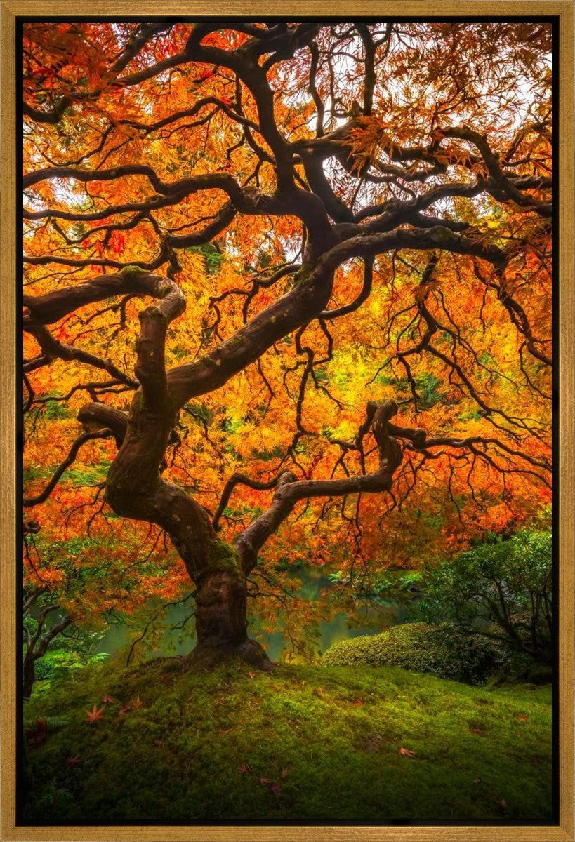 Tree of Perspective Vertical Gallery Wrap