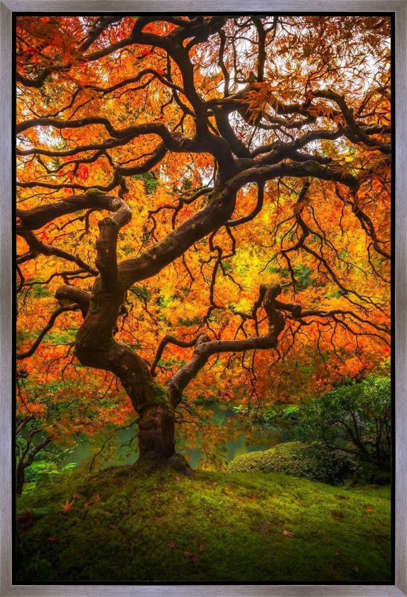 Tree of Perspective Vertical Gallery Wrap