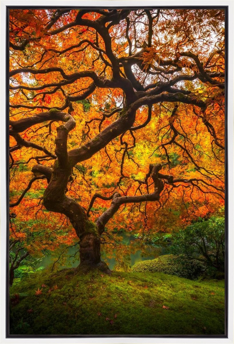 Tree of Perspective Vertical Gallery Wrap