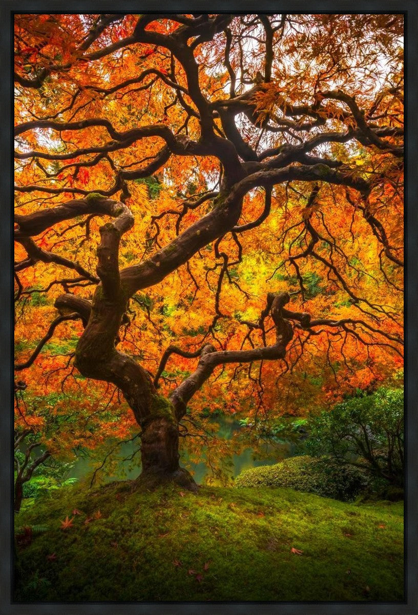 Tree of Perspective Vertical Gallery Wrap