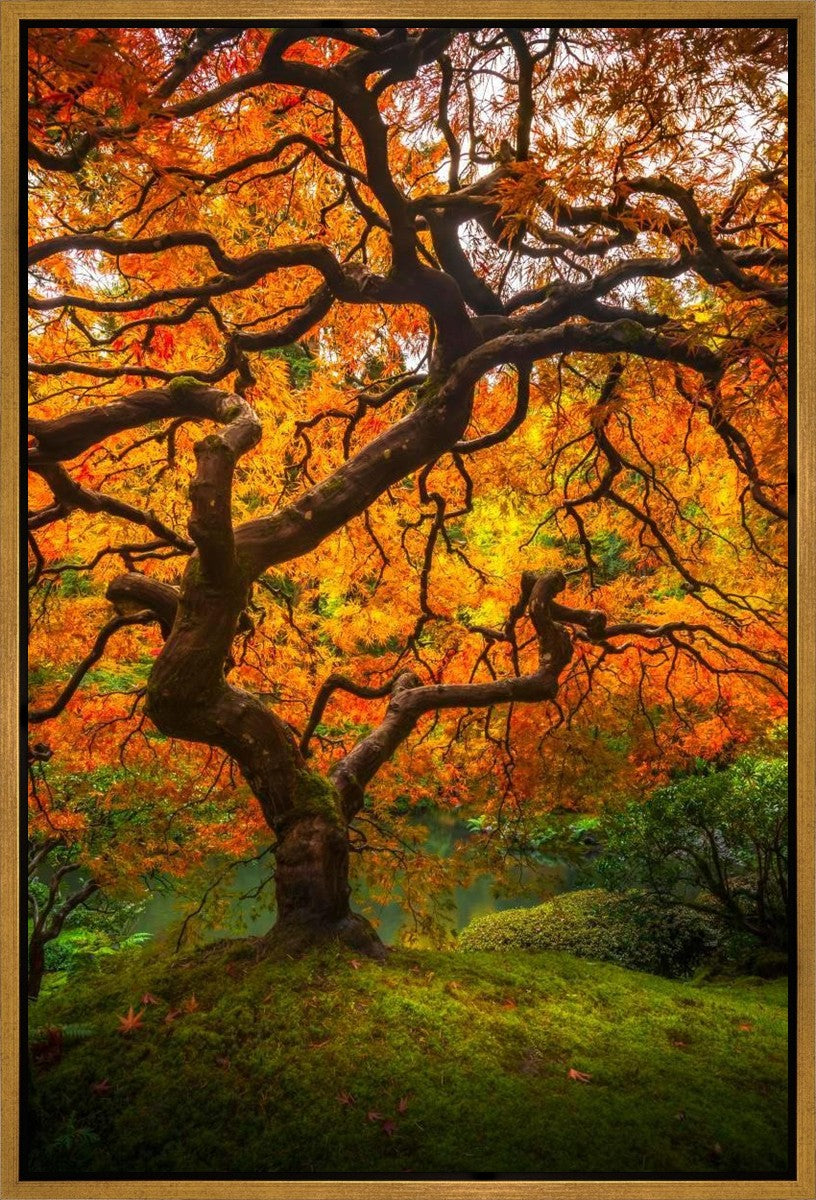 Tree of Perspective Vertical Gallery Wrap