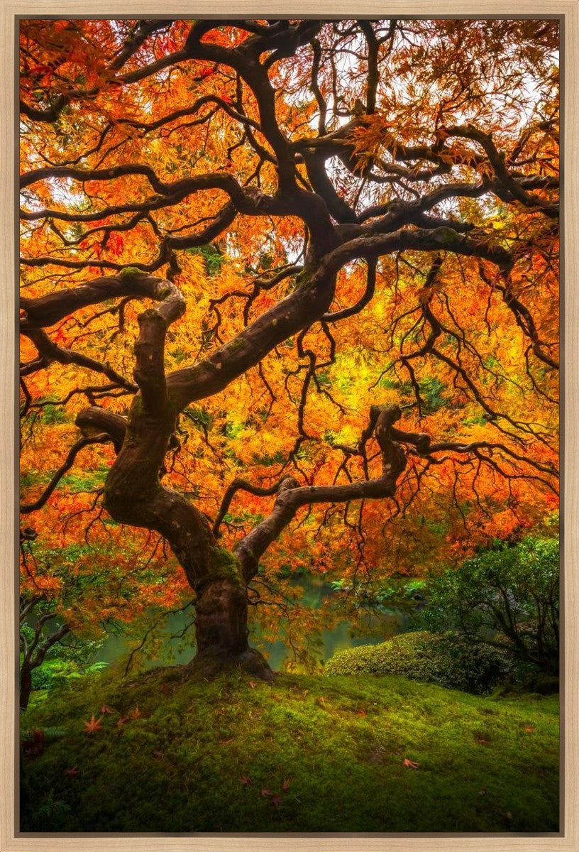 Tree of Perspective Vertical Gallery Wrap