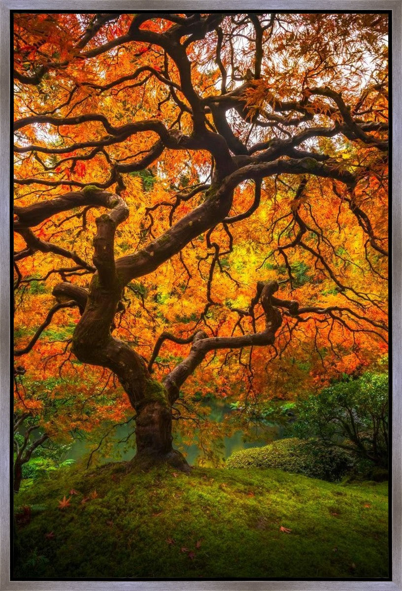 Tree of Perspective Vertical Gallery Wrap