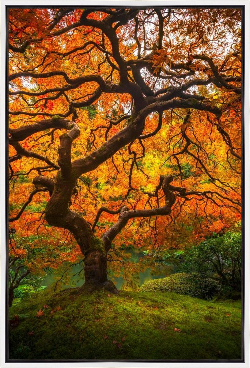 Tree of Perspective Vertical Gallery Wrap