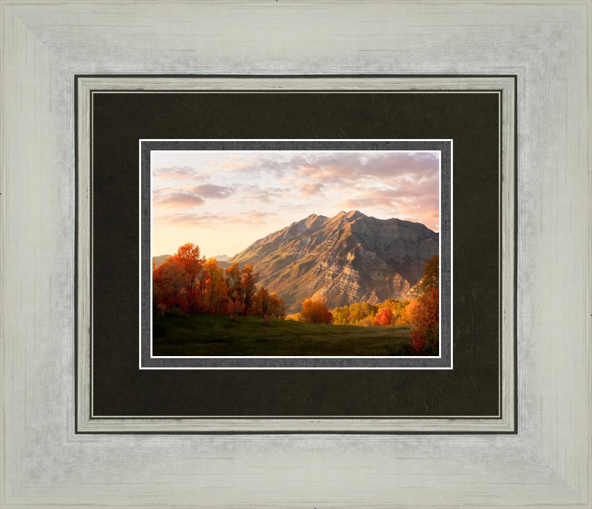 Timpanogos Autumn