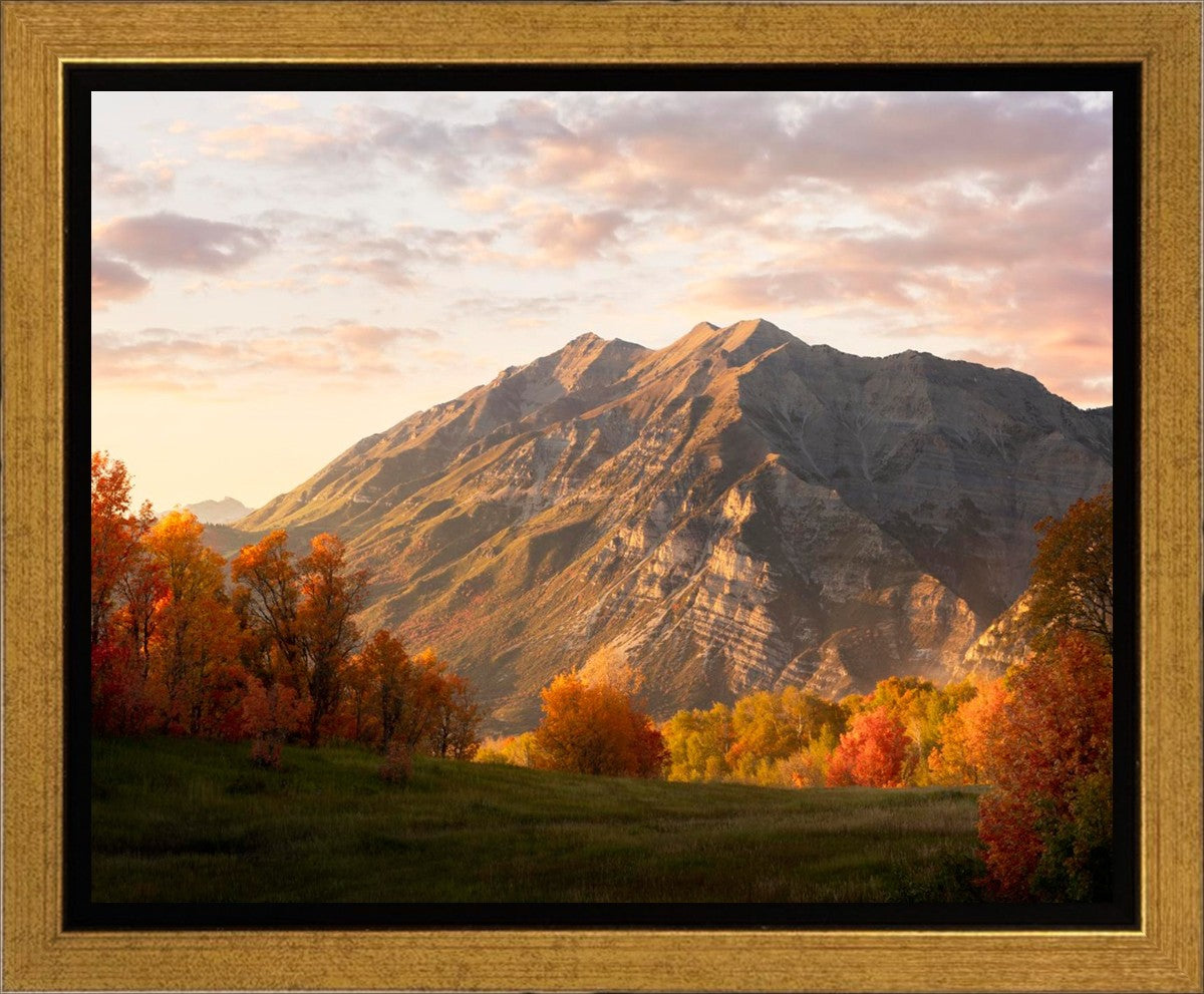 Timpanogos Autumn Gallery Wrap
