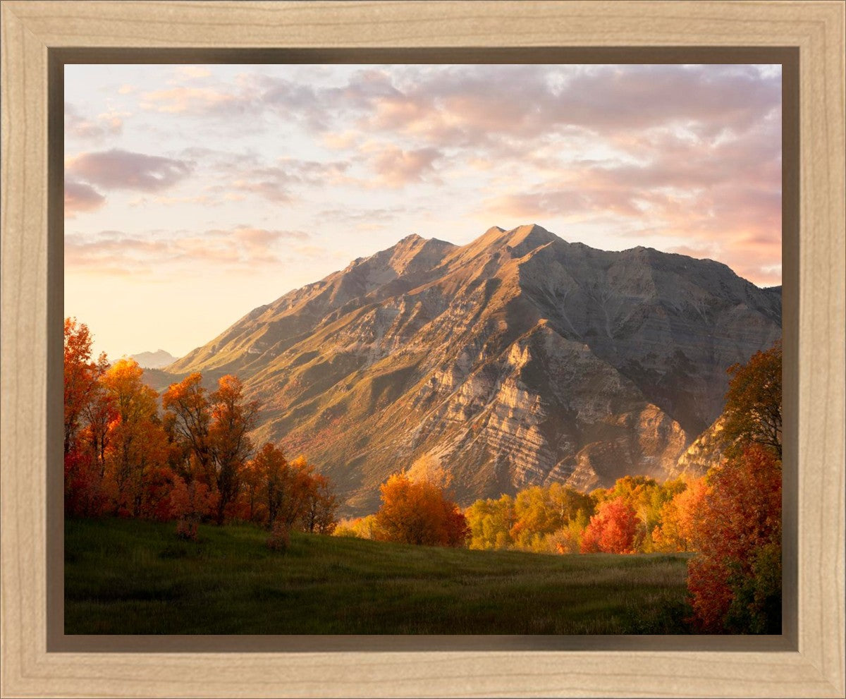 Timpanogos Autumn Gallery Wrap