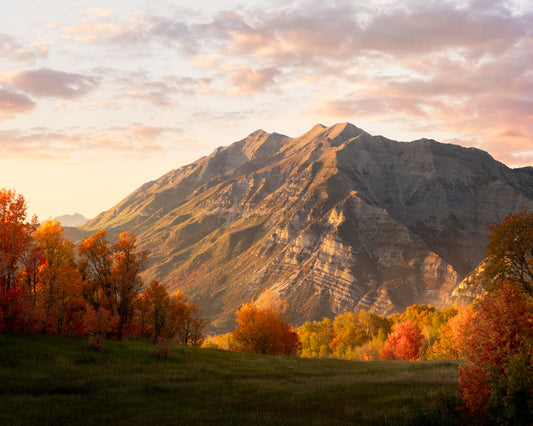 Timpanogos Autumn