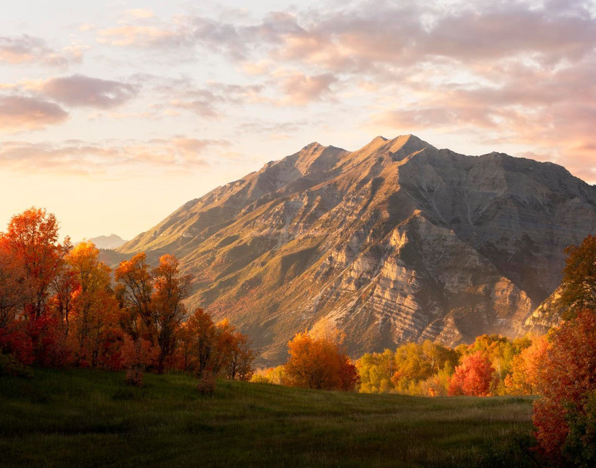 Timpanogos Autumn Gallery Wrap