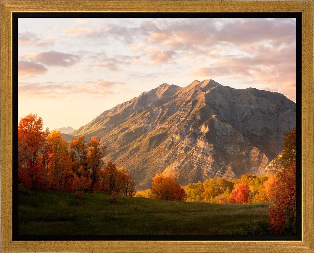 Timpanogos Autumn Gallery Wrap