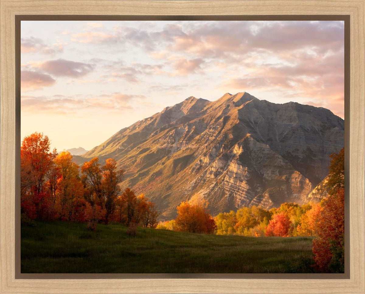 Timpanogos Autumn Gallery Wrap