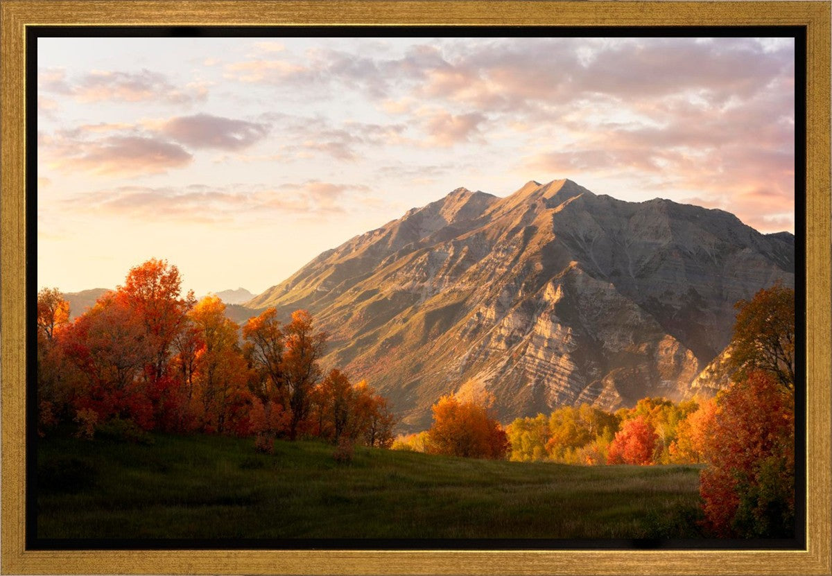 Timpanogos Autumn Gallery Wrap