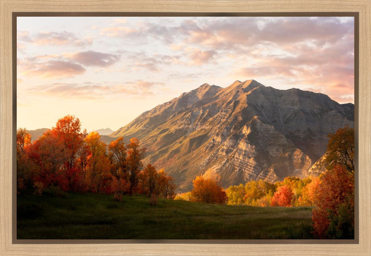 Timpanogos Autumn Gallery Wrap