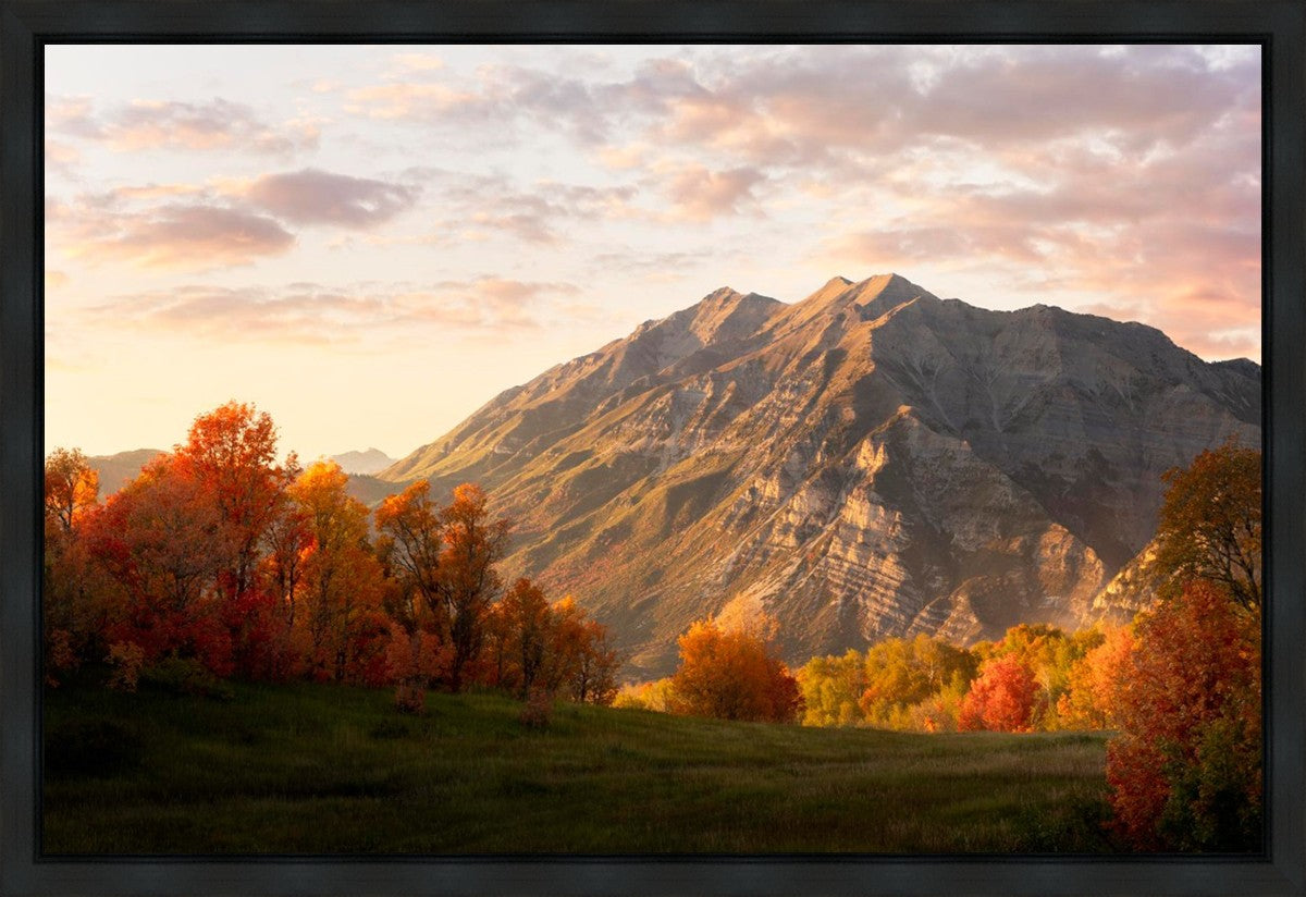Timpanogos Autumn Gallery Wrap