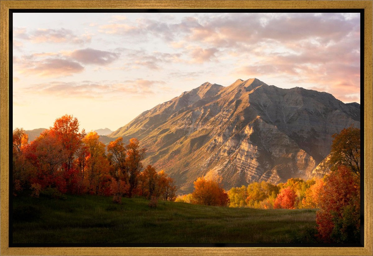 Timpanogos Autumn Gallery Wrap
