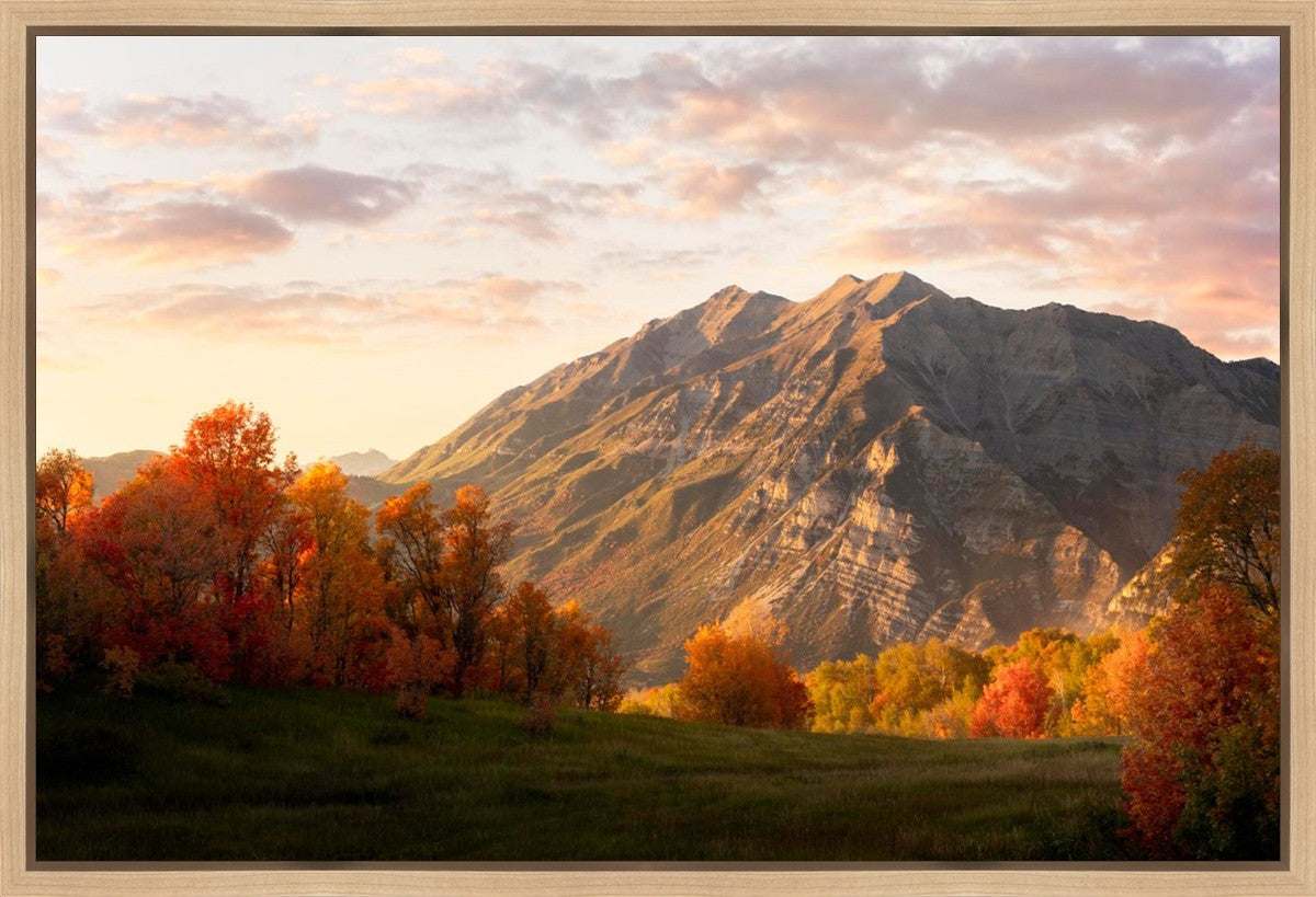 Timpanogos Autumn Gallery Wrap
