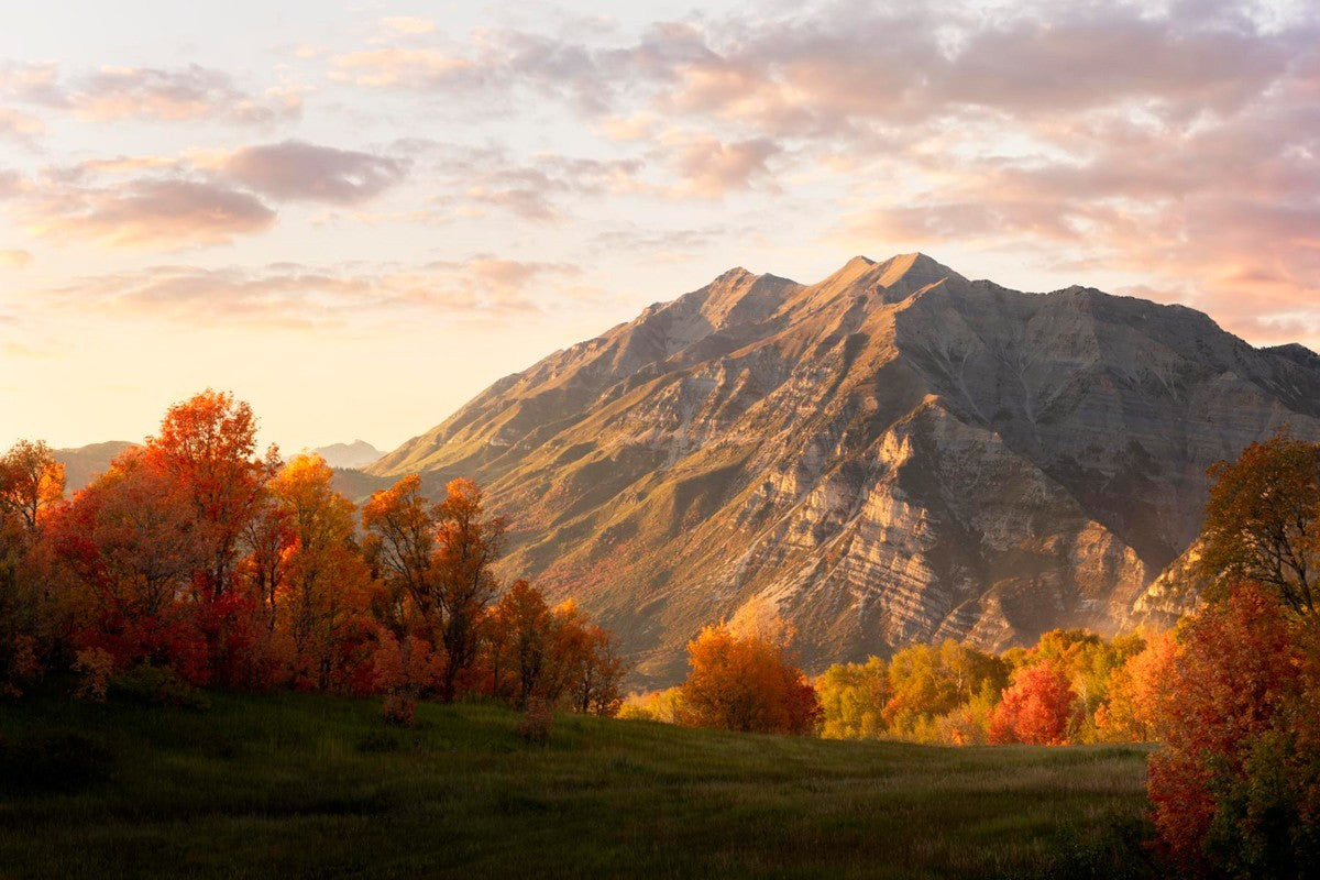 Timpanogos Autumn Gallery Wrap