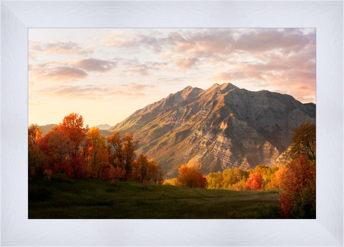 Timpanogos Autumn