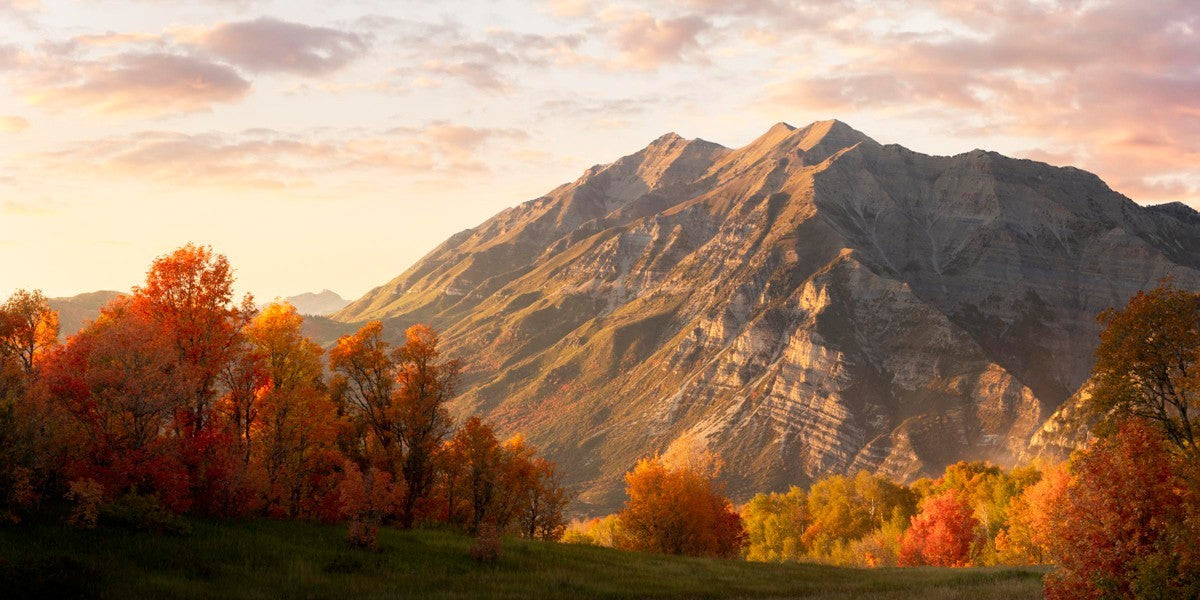 Timpanogos Autumn Gallery Wrap