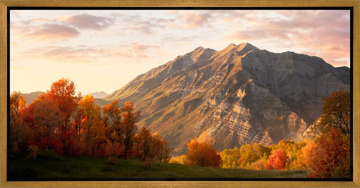 Timpanogos Autumn Gallery Wrap