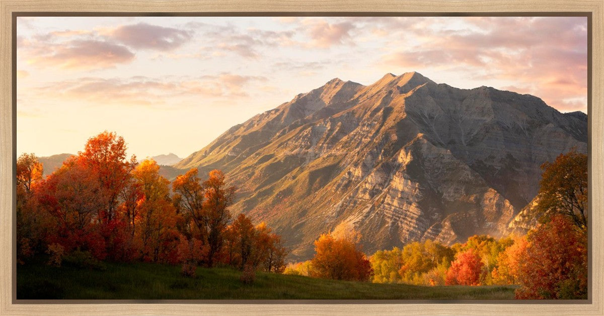 Timpanogos Autumn Gallery Wrap