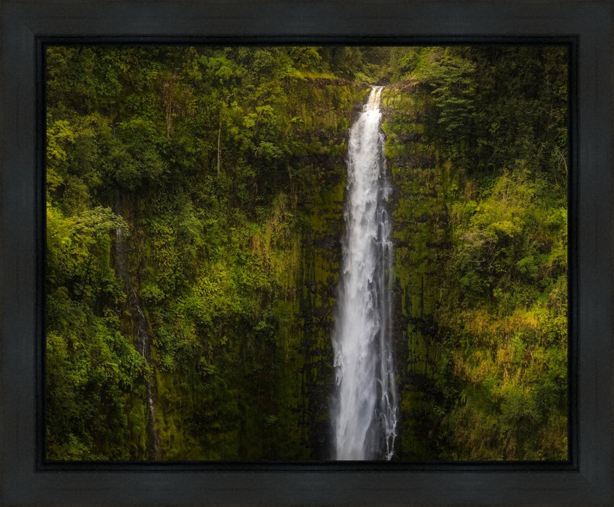 Akaka Falls, Hawaii Gallery Wrap