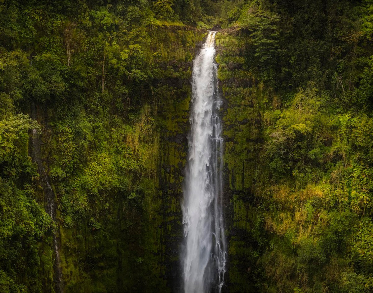 Akaka Falls, Hawaii Gallery Wrap
