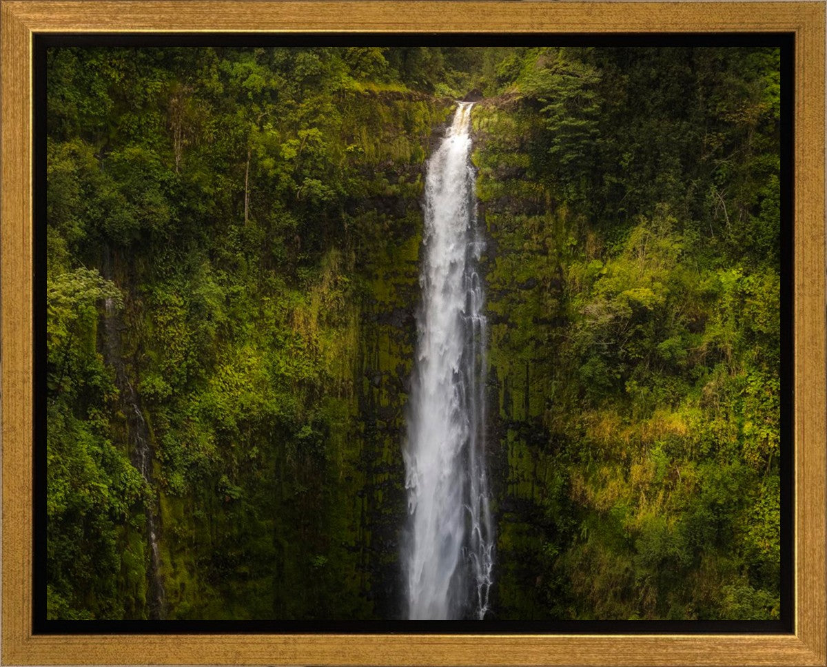 Akaka Falls, Hawaii Gallery Wrap
