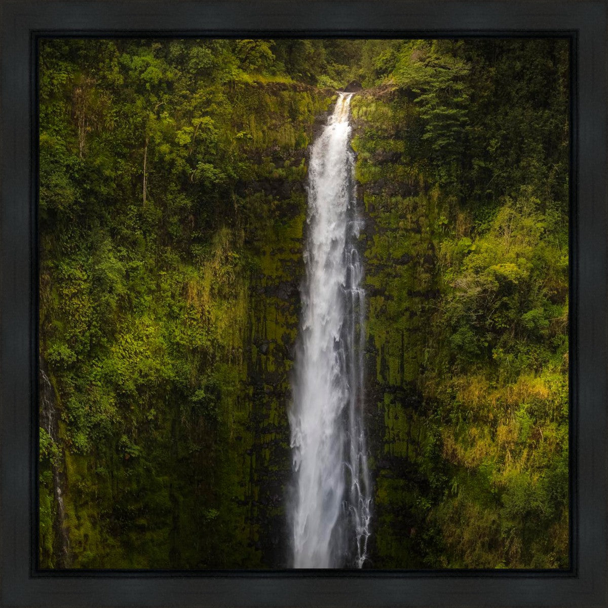 Akaka Falls, Hawaii Gallery Wrap