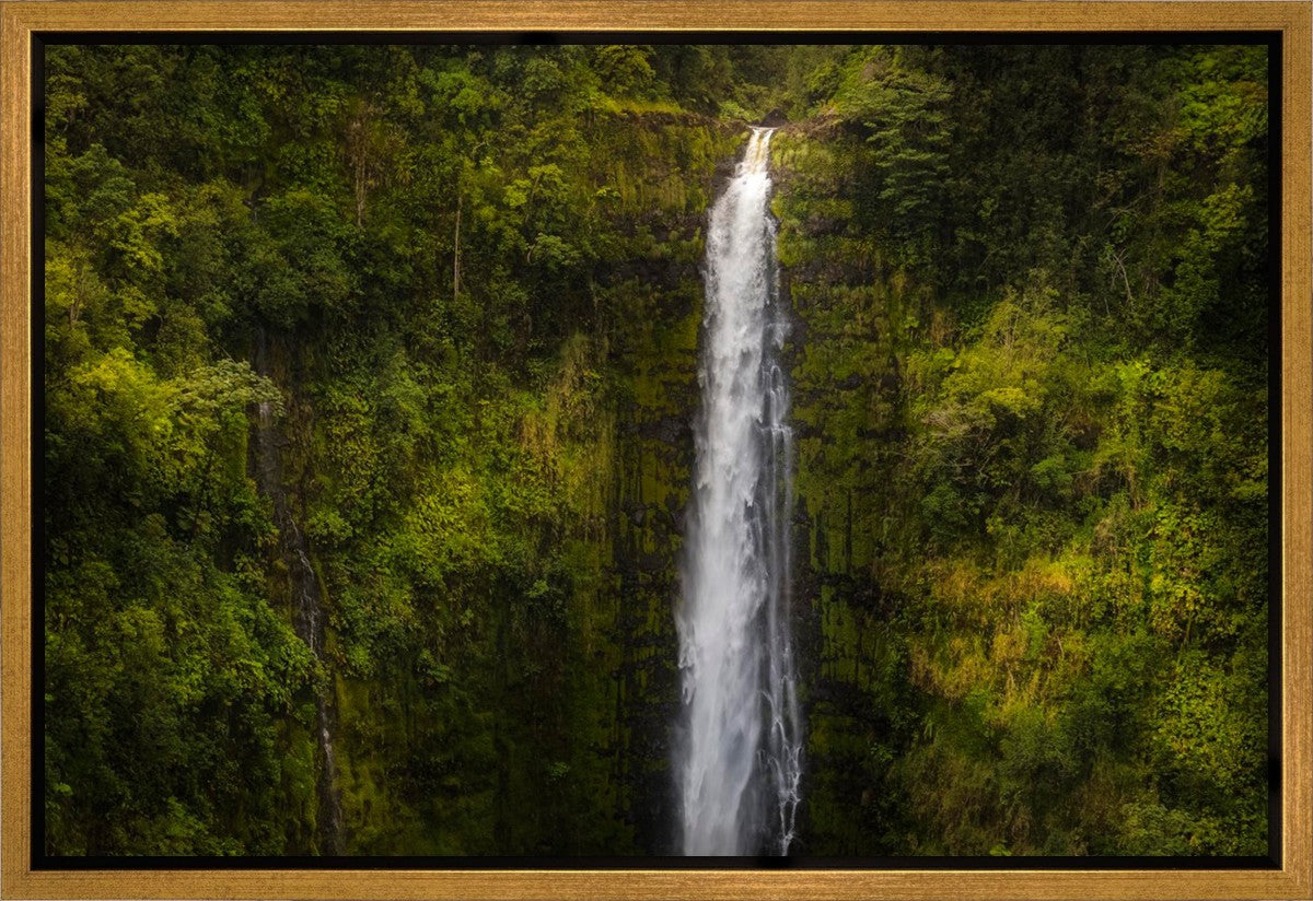Akaka Falls, Hawaii Gallery Wrap