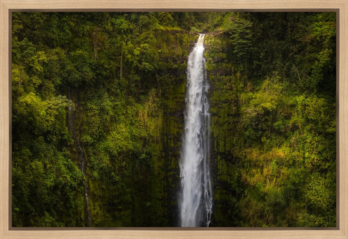 Akaka Falls, Hawaii Gallery Wrap