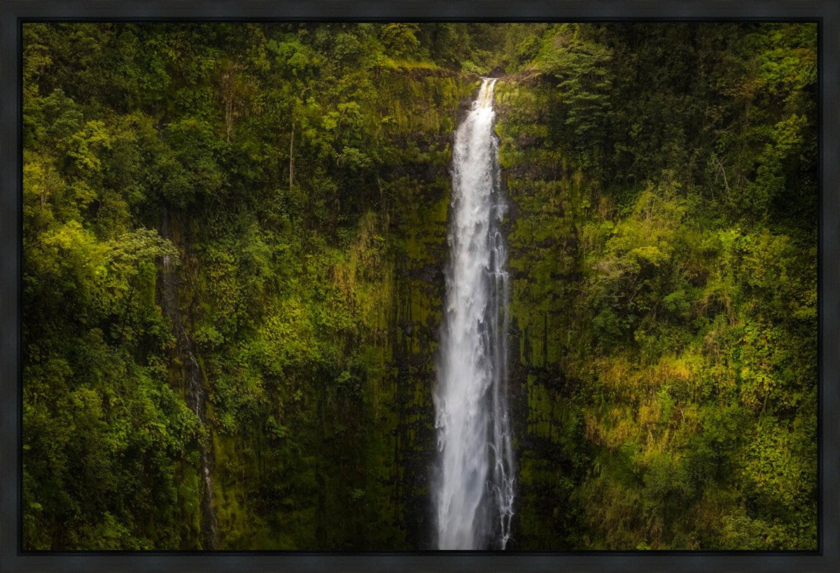 Akaka Falls, Hawaii Gallery Wrap