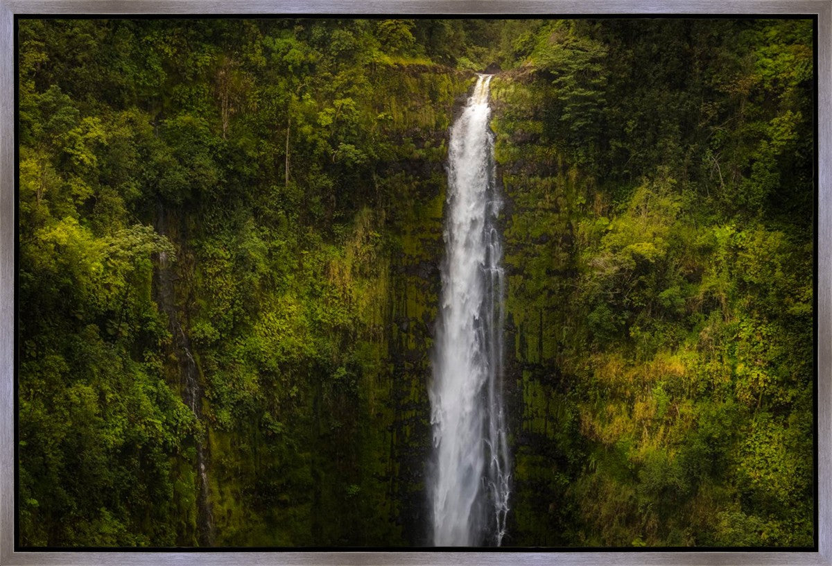 Akaka Falls, Hawaii Gallery Wrap