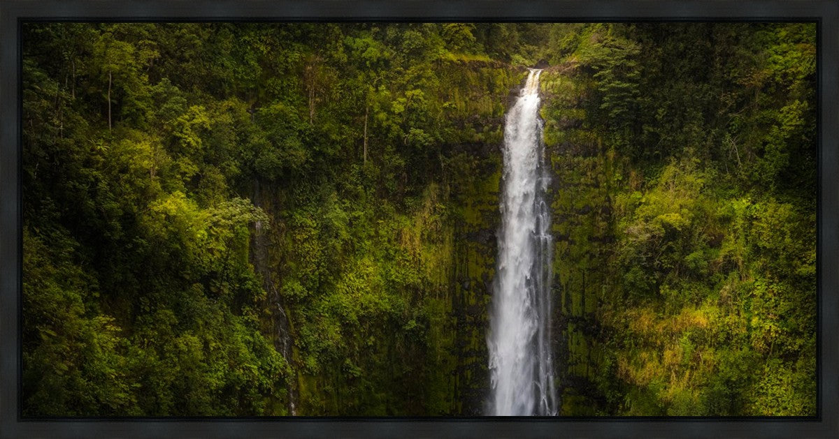 Akaka Falls, Hawaii Gallery Wrap