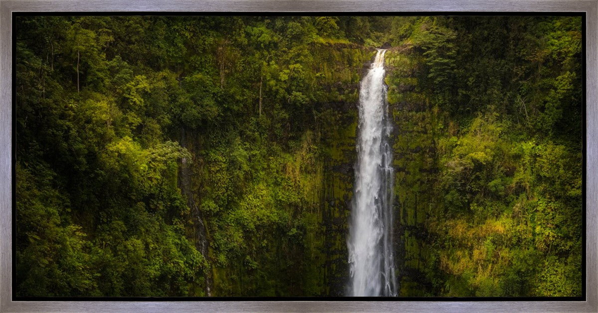 Akaka Falls, Hawaii Gallery Wrap