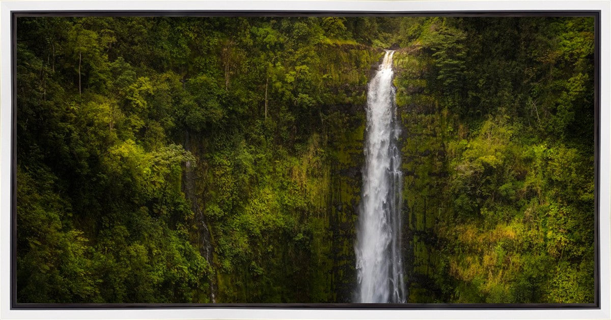 Akaka Falls, Hawaii Gallery Wrap